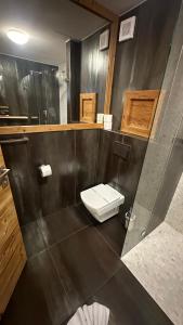 a bathroom with a white toilet in a stall at Hotel Kukučka Apartament C102 Tatranská Lomnica in Vysoké Tatry