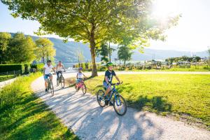 a group of people riding bikes down a path at Appartement Kochen in Döbriach