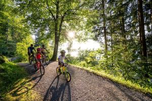 a group of people riding bikes down a dirt road at Appartement Kochen in Döbriach +4 photos