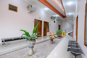 a corridor of a hospital with potted plants at RedDoorz at Syariah House Purwokerto in Purwokerto