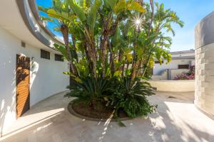 Κήπος έξω από το Valtur Baia del Gusmay Beach Resort