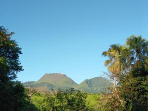 a palm tree and mountains in the distance at Studio près de la mer et marina in Gourbeyre +1 photo