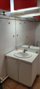 a bathroom with a sink and a mirror at Studio près de la mer et marina in Gourbeyre