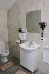 a bathroom with a white sink and a toilet at The View in Satu Nou de Sus