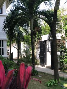 a house with palm trees and pink flowers at Nomads Kodjoviakopé in Lomé