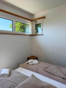 two beds in a bedroom with two windows at Res Roncaccio, Cancro by HolAp SA in Vairano +19 photos