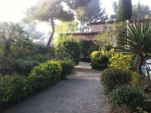 a path leading to a house with trees and bushes at La Douce Heure in Mougins