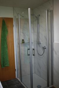 a bathroom with a shower with a glass door at Ferienwohnung Freißl in Rottenbuch