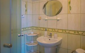 a bathroom with a sink and a mirror and a shower at Pokoje Iza in Chałupy