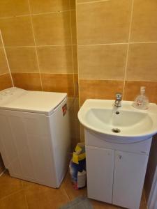 a bathroom with a white sink and a trash can at Apartament cisza i spokój in Toruń