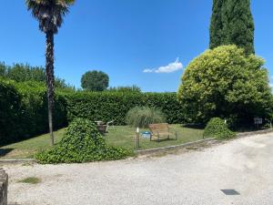 a park with a bench and a palm tree at Le Pervinche Affittacamere in Bastia Umbra +13 photos