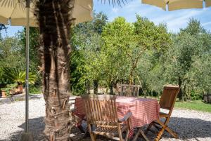 a table and chairs under an umbrella under a tree at Rifugio Vita Luminosa in Montecarotto