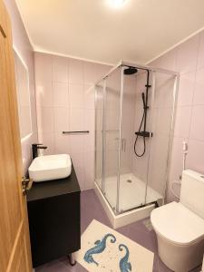 a bathroom with a shower and a toilet and a sink at Stai Ca Acasă in Slănic-Moldova