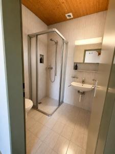 ein Badezimmer mit Dusche, Toilette und Waschbecken in der Unterkunft Alpine Hotel Reich in Cazis + 17 Fotos