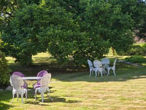 a group of chairs and tables under a tree at Solvang in Assens