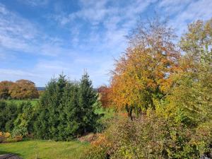 a group of trees in a field with a sky at EifelAuszeit in Simmerath