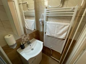 a bathroom with a sink and a toilet and a mirror at Solar Club Apartman Sopron in Sopron