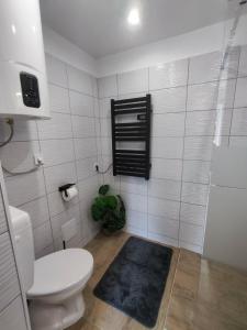 a bathroom with a toilet and a rug on the floor at B30 Apartmanok, Eger in Eger +23 photos