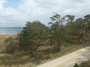 a road next to a beach with trees and the ocean at Forum Marinar 37 in Bansin