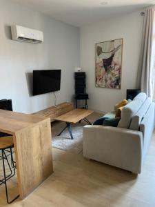 a living room with a couch and a flat screen tv at Lou Occitan- Appartement cosy centre Béziers in Béziers