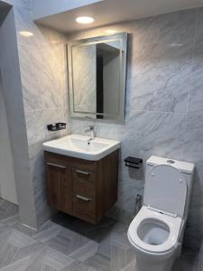 a bathroom with a toilet and a sink and a mirror at Rift Valley in Bulenga