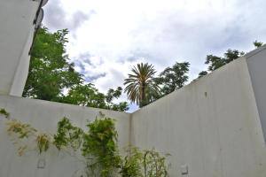a white fence with a palm tree behind it at Chris House in Nicosia