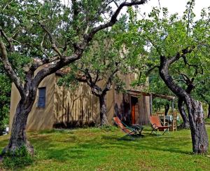 two chairs sitting in a yard next to trees at Loggia dei Barbaggianni in Torraca