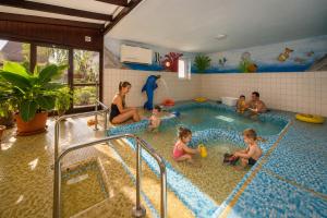 a group of people playing in a swimming pool at Hotel Piroska in Bük +83 photos