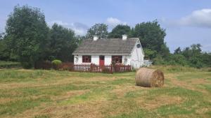 a small white house in the middle of a field at Hannah's Cottage in Farranfore