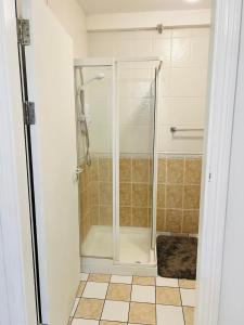 a shower with a glass door in a bathroom at Ideal Guest House in Carrick-on-Suir