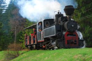 a steam engine train with people riding on it at Bellevue Beam House in Covasna