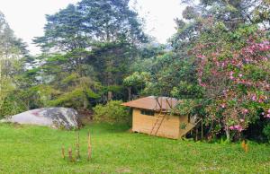 a small wooden shed in a field of grass at Kai Ecoglamping in El Peñol