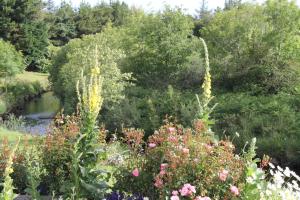 a garden with many flowers and a pond at Beautiful Stone Riverside Retreat Galway in Galway