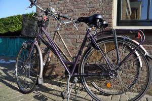 Катання на велосипеді по території Bed en Breakfast Molenzicht або околицях