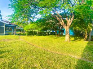 a tree in the grass next to a house at KL beach road Diani in Ukunda