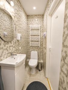 a bathroom with a toilet and a sink and a mirror at Arāja apartamenti in Kuldīga