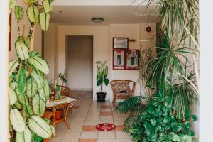 a hallway with plants and a table and chairs at Pensiunea Praid - Parajd Panzió in Praid