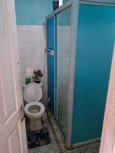 a bathroom with a toilet and a blue shower stall at Hostal South beach in Carenero