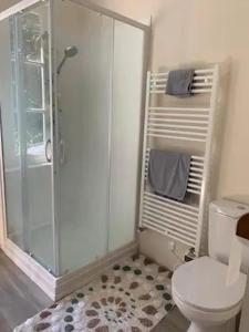 a bathroom with a shower and a white toilet at La Miséricorde-Deluxe room with kids room in Coutances +15 photos