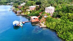 an aerial view of a small island in the water at El Palacio Rosa, The Palace in Punta Gorda