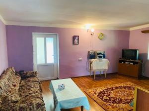 a living room with purple walls and a couch at Gariks house in Lichkʼ