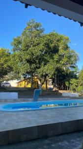 a blue swimming pool with a tree in the background at Villa Serrinha - Sitio Paraiso in Serrinha
