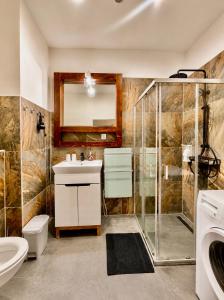a bathroom with a sink and a shower at Kael Apartment in Teplice +43 photos