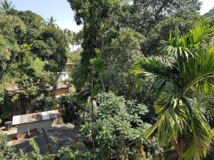 a view of a forest with trees and a house at Cloud Inn Kandy Homestay - Near temple tooth in Kandy