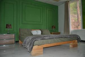 a green bedroom with a bed and a window at Brookside Pines in Murree +10 photos