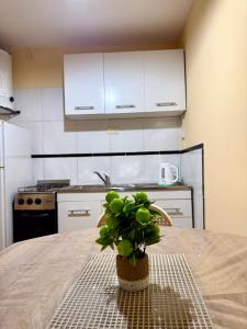 a kitchen with a table with a potted plant on it at Loft Don Bosco in San Luis