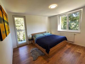 a bedroom with a bed and two windows at Residence Pod Bublavou in Kraslice