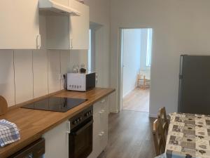 a kitchen with a counter top with a microwave at Arnold Apartments in Glauchau