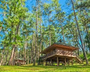 a cabin in the woods with trees in the background at Casa Amul in Tigbawan