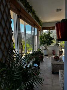 a living room with plants and a view of a mountain at Iliovasilema in Vathý +10 photos
